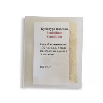 Культура плесени Penicillium Candidum в Ростове-на-Дону